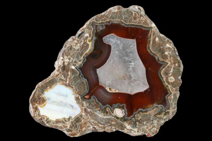 Polished Baker Ranch Thunderegg - New Mexico #146589